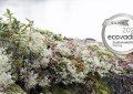 百年匠艺淬炼环保美学 高奢家电品牌ASKO荣获EcoVadis奖章