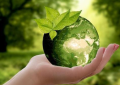 智农生物：共创绿色未来，助力农业升级